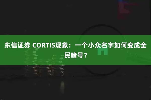 东信证券 CORTIS现象：一个小众名字如何变成全民暗号？