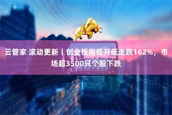 云管家 滚动更新丨创业板指低开低走跌162%，市场超3500只个股下跌