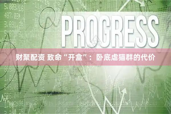 财聚配资 致命“开盒”：卧底虐猫群的代价
